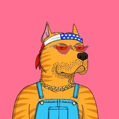 Dune零基础入门指南