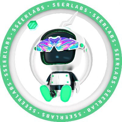 Seer Labs